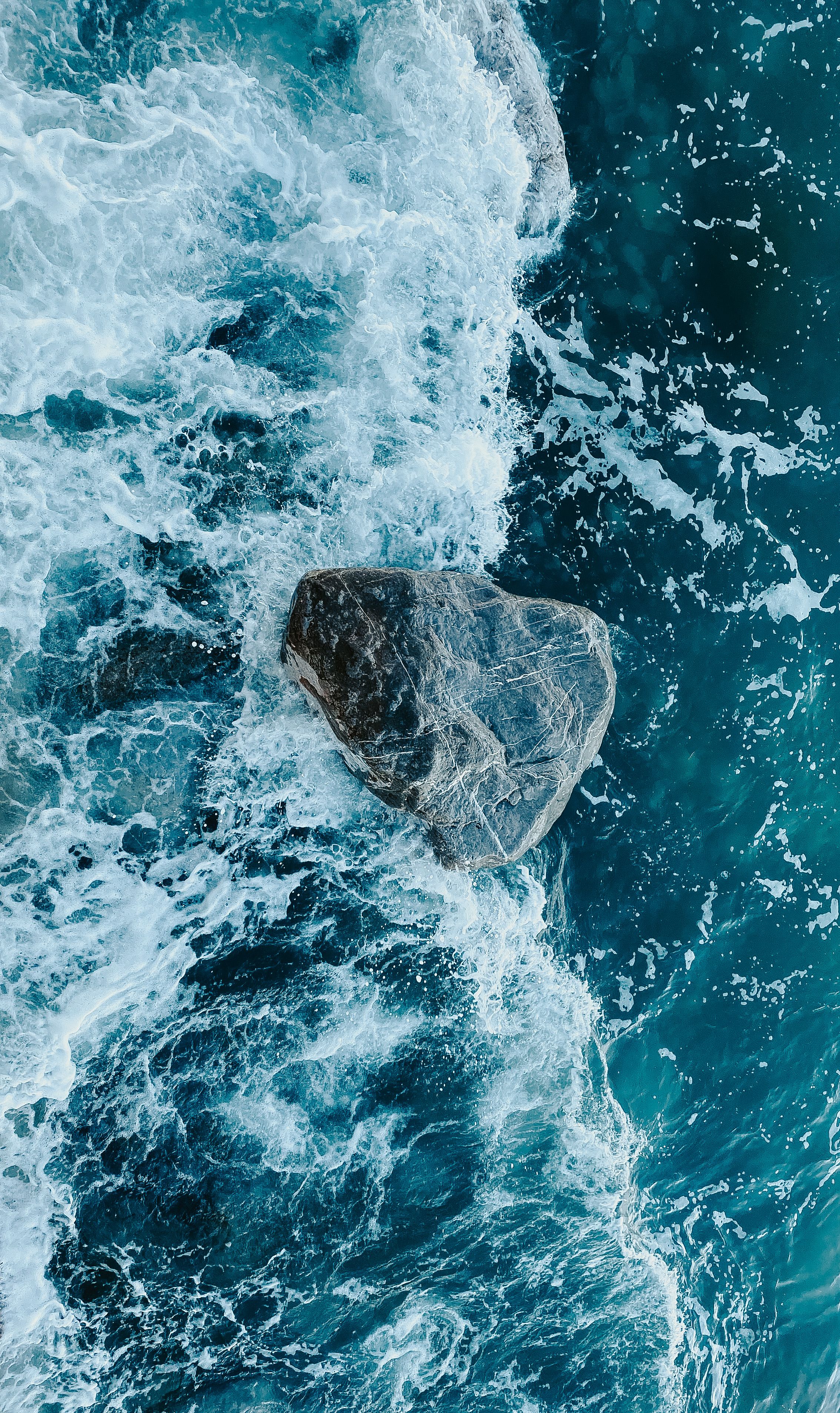 Vagues de l'océan